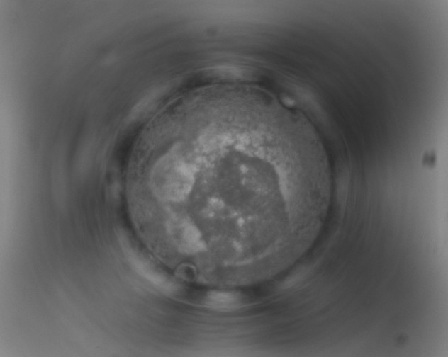 X0000114170457200910151641