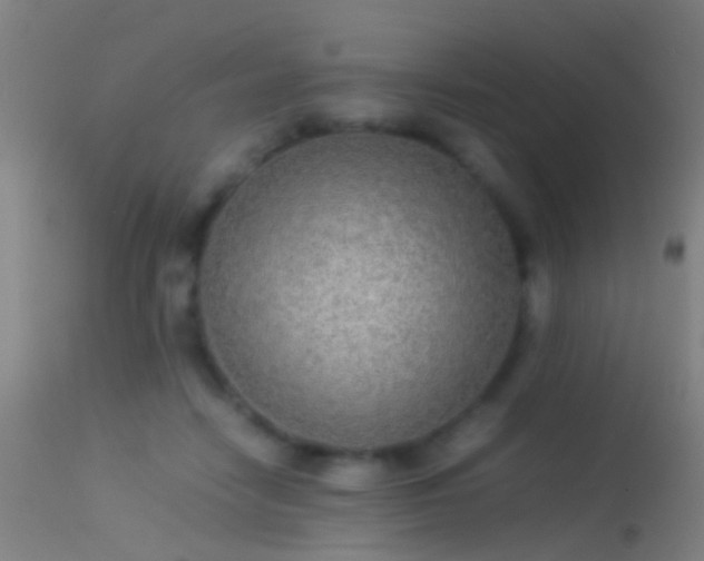 X0000114170458200910151641