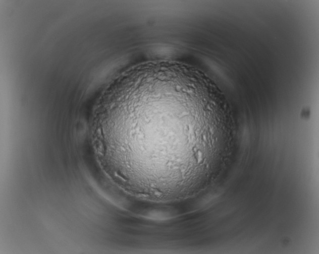 X0000114170459200910151641