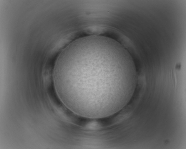 X0000114170460200910151641