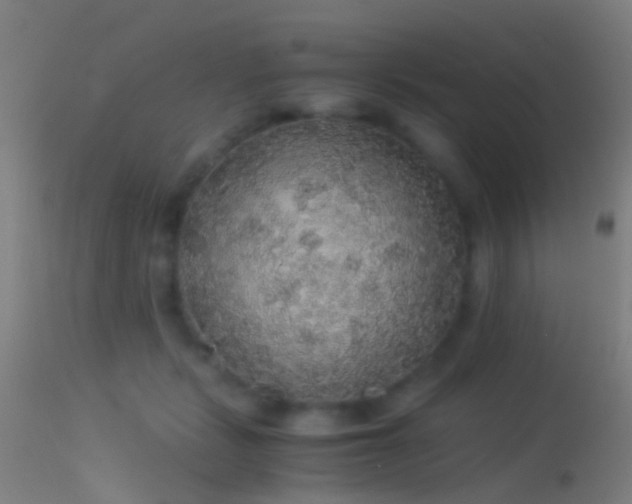 X0000114170461200910151641