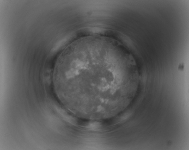 X0000114170462200910151641