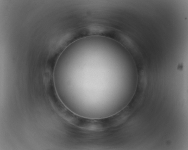 X0000114170463200910151641