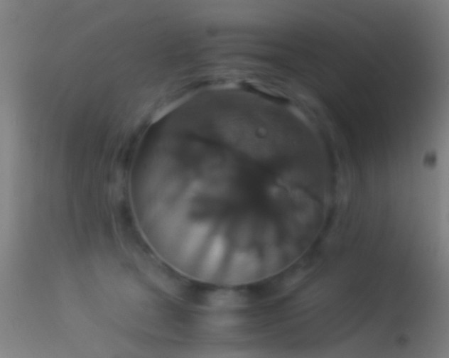 X0000114170465200910151641