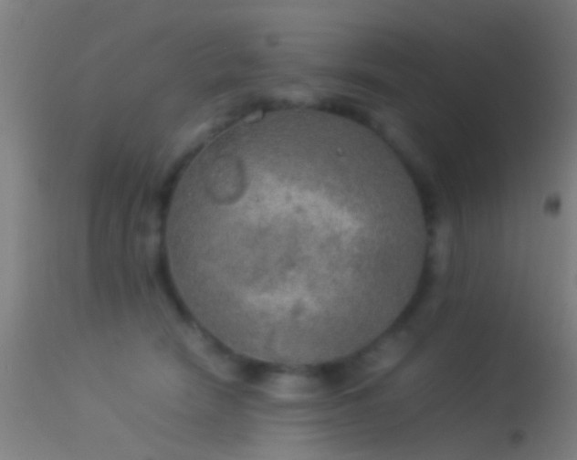 X0000114170466200910151641