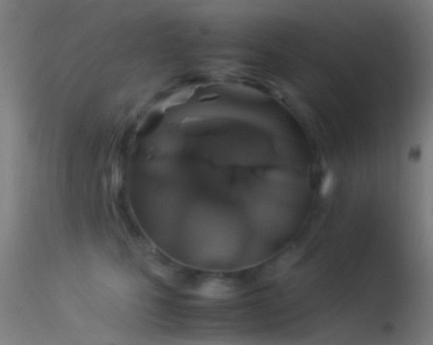 X0000114170471200910151641