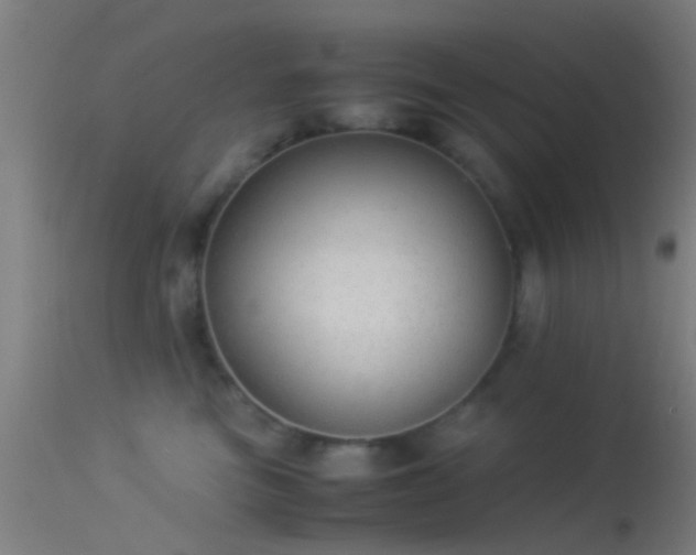 X0000114170473200910151641