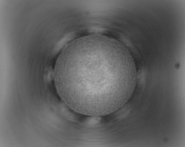 X0000114170474200910151641