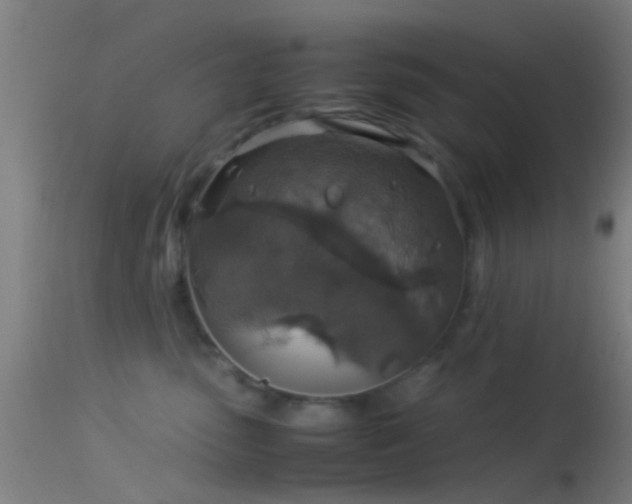 X0000114170475200910151641