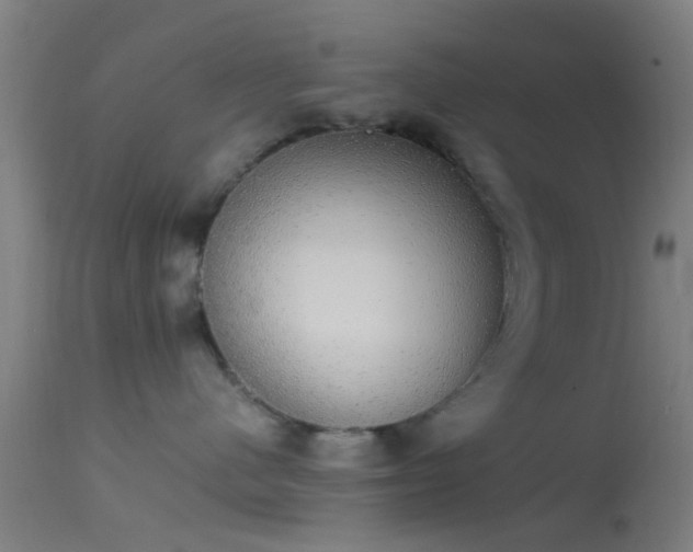 X0000114170480200910151641