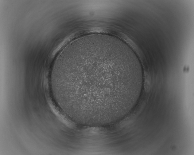 X0000114170482200910151640