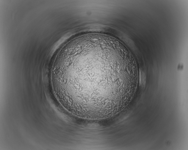 X0000114170483200910151640