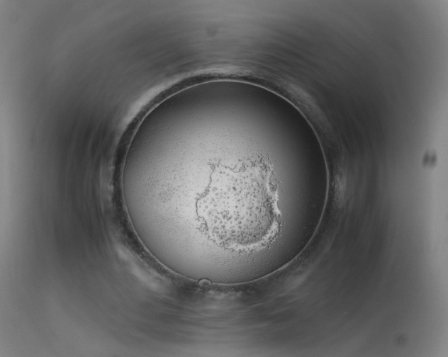 X0000114170484200910151640