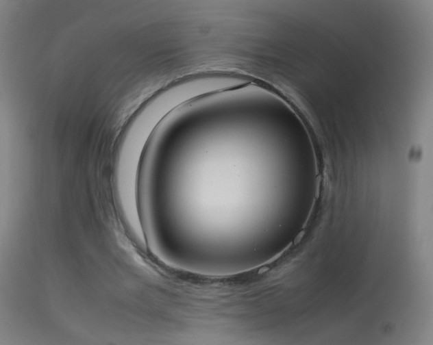 X0000114170485200910151640