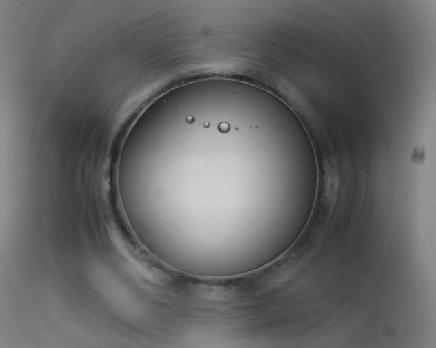 X0000114170486200910151640