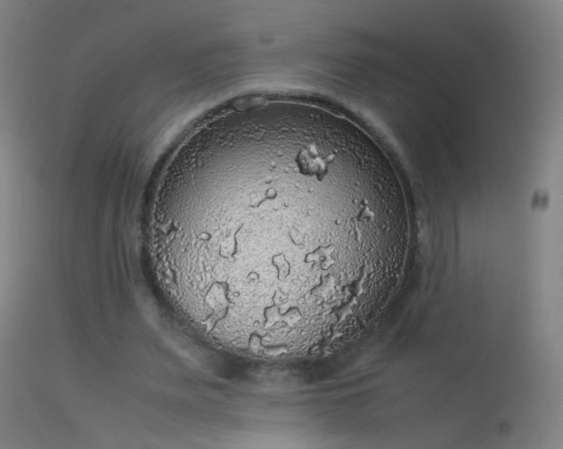 X0000114170487200910151640