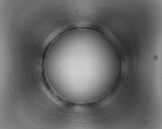 X0000114170490200910151640