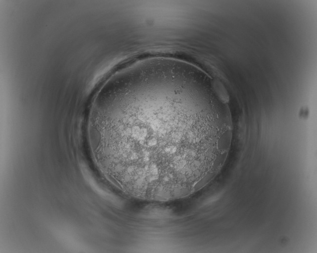 X0000114170491200910151640