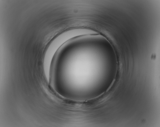 X0000114170493200910151640