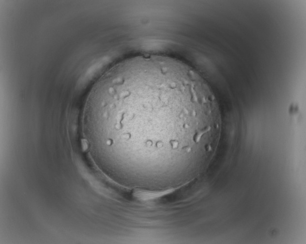 X0000114170495200910151640