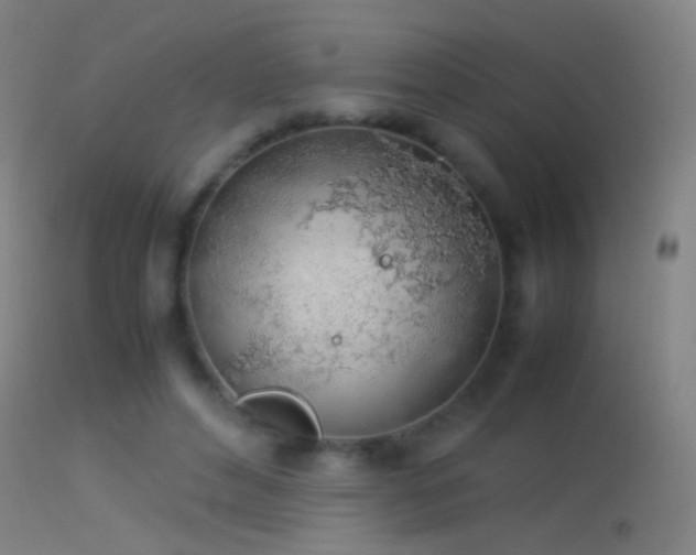 X0000114170496200910151640