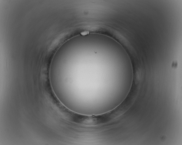 X0000114170497200910151640