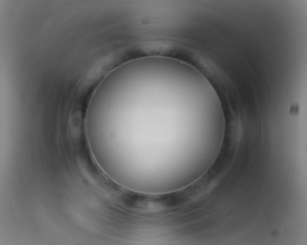 X0000114170498200910151640