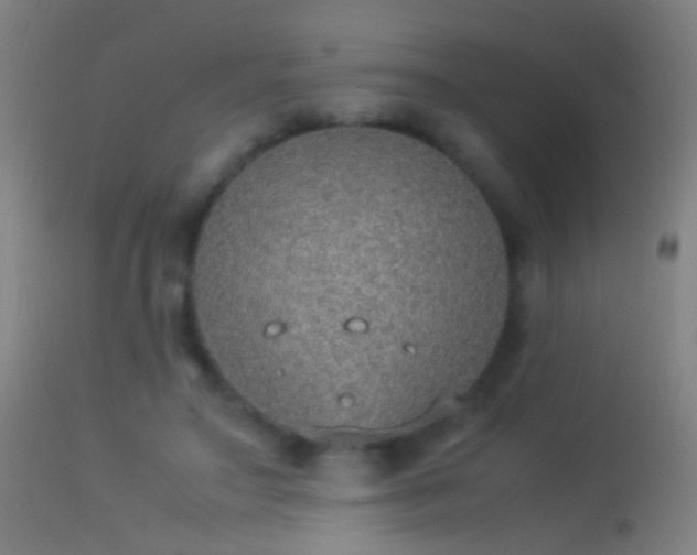 X0000114170499200910151640