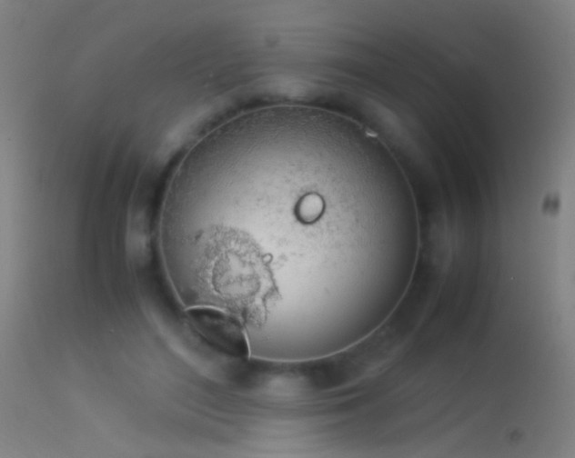 X0000114170500200910151640