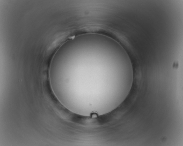 X0000114170501200910151640