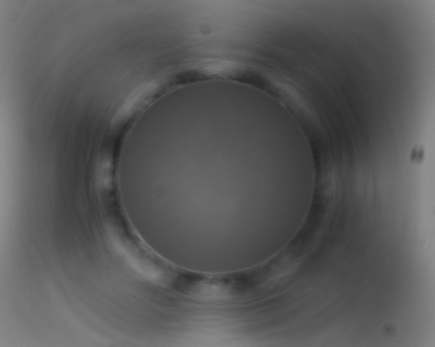 X0000114170502200910151640