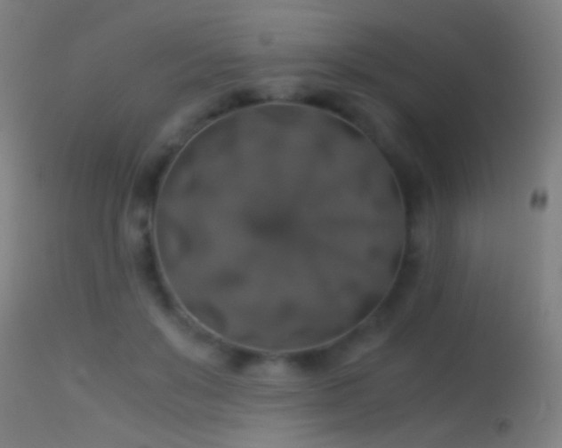 X0000114170503200910151640