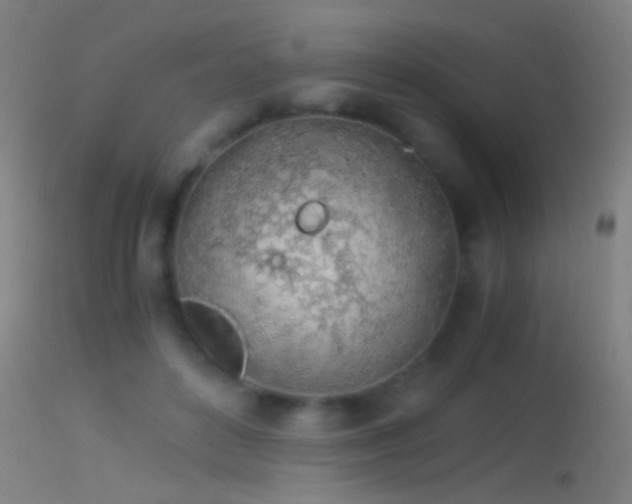 X0000114170504200910151640