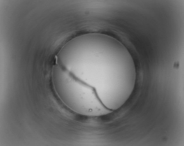 X0000114170505200910151640