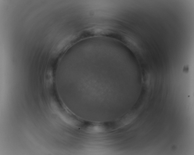 X0000114170506200910151640