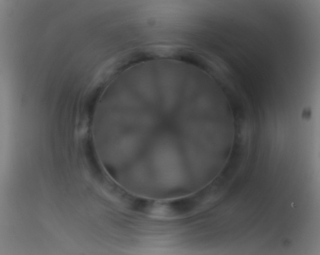 X0000114170507200910151640