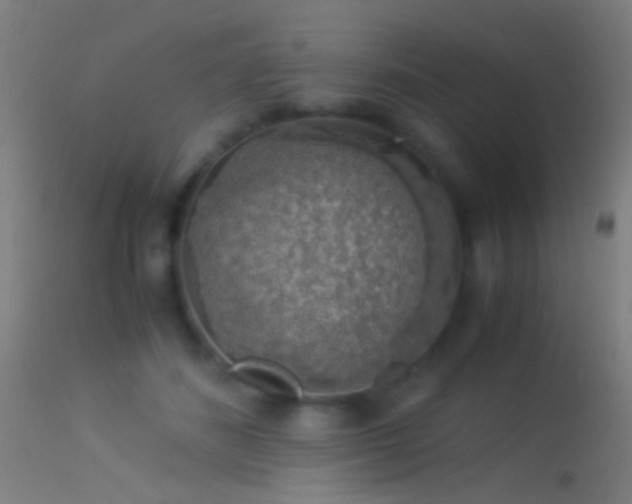 X0000114170508200910151640