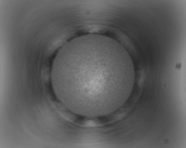 X0000114170510200910151640