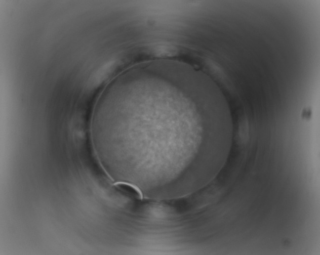 X0000114170512200910151640