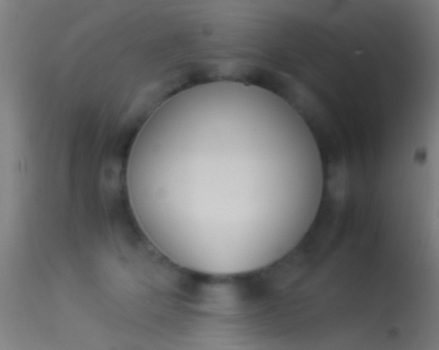 X0000114170514200910151640