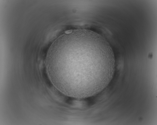 X0000114170515200910151640