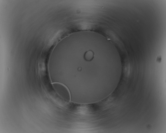 X0000114170516200910151640