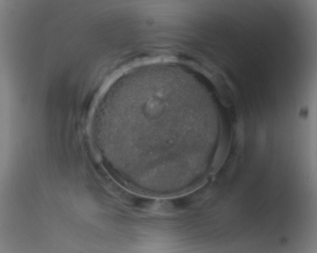 X0000114170517200910151640