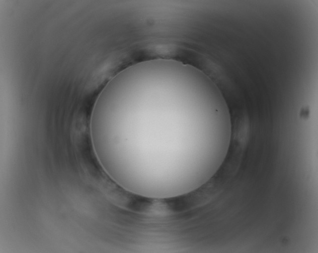 X0000114170518200910151640