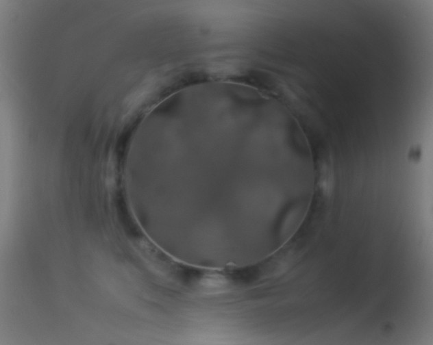 X0000114170519200910151640