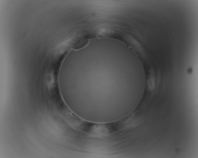 X0000114170520200910151640