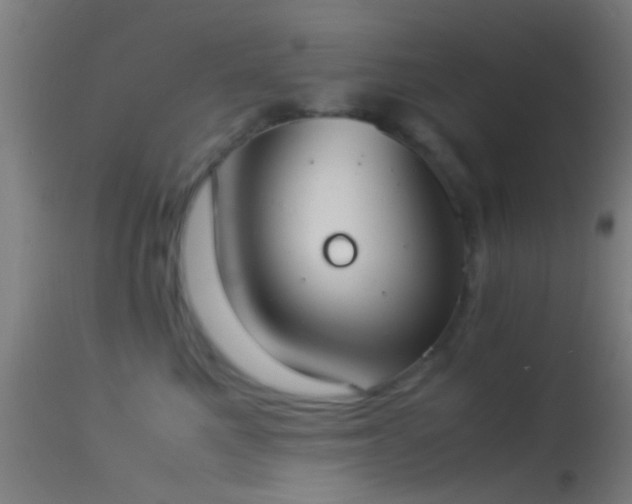 X0000114170521200910151640