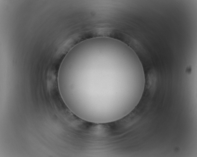 X0000114170522200910151640