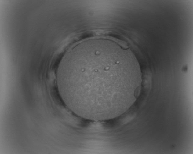 X0000114170523200910151640