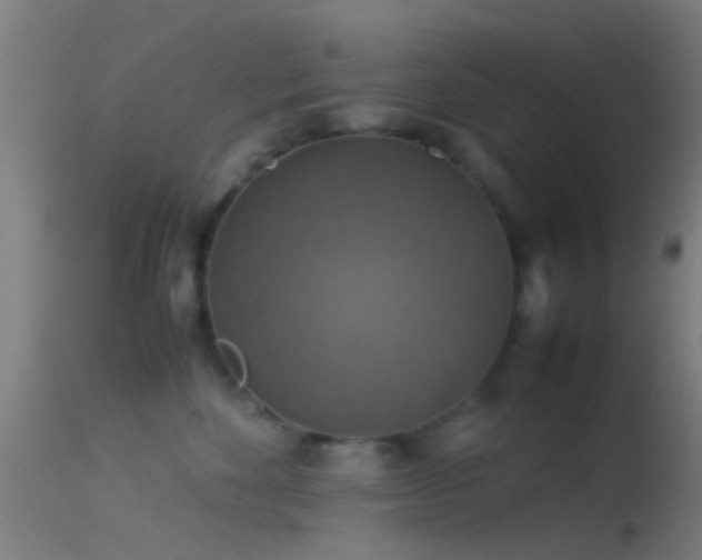 X0000114170524200910151640